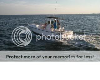 IMGP0163-cut.jpg