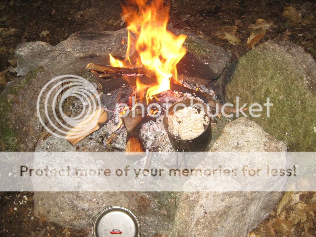 IMG_7739.jpg