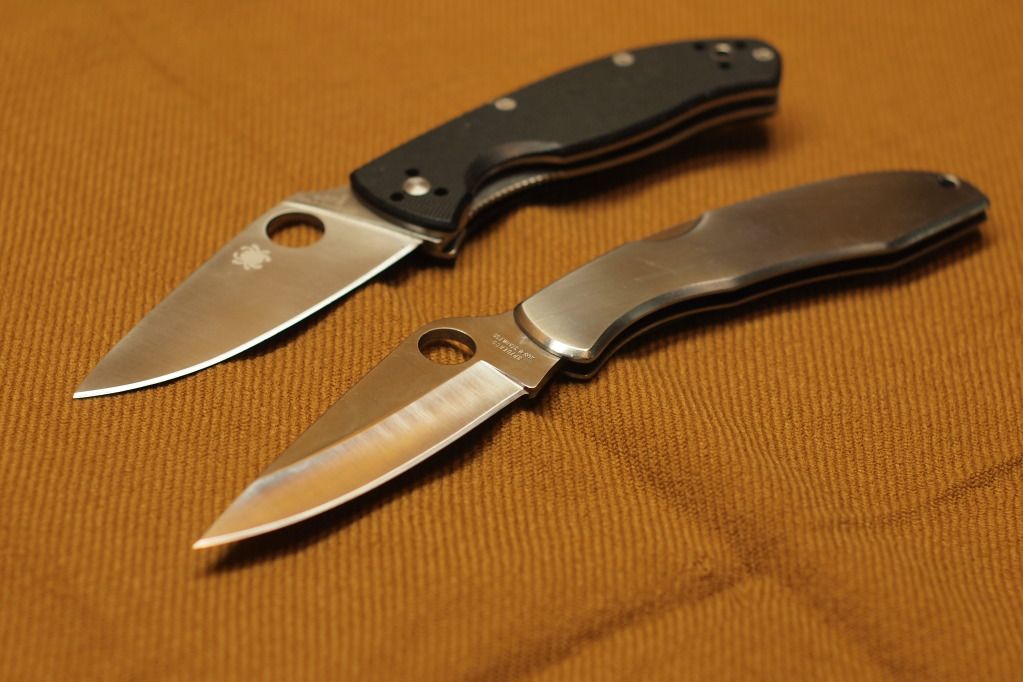Spydercos_1.jpg