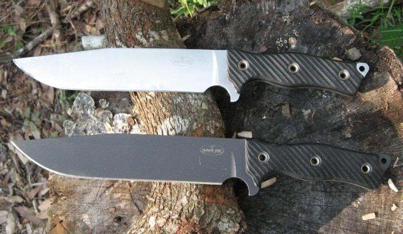 M9CG006.jpg