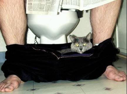 lolcatsdotcom76900a6cf1eps0g6.jpg
