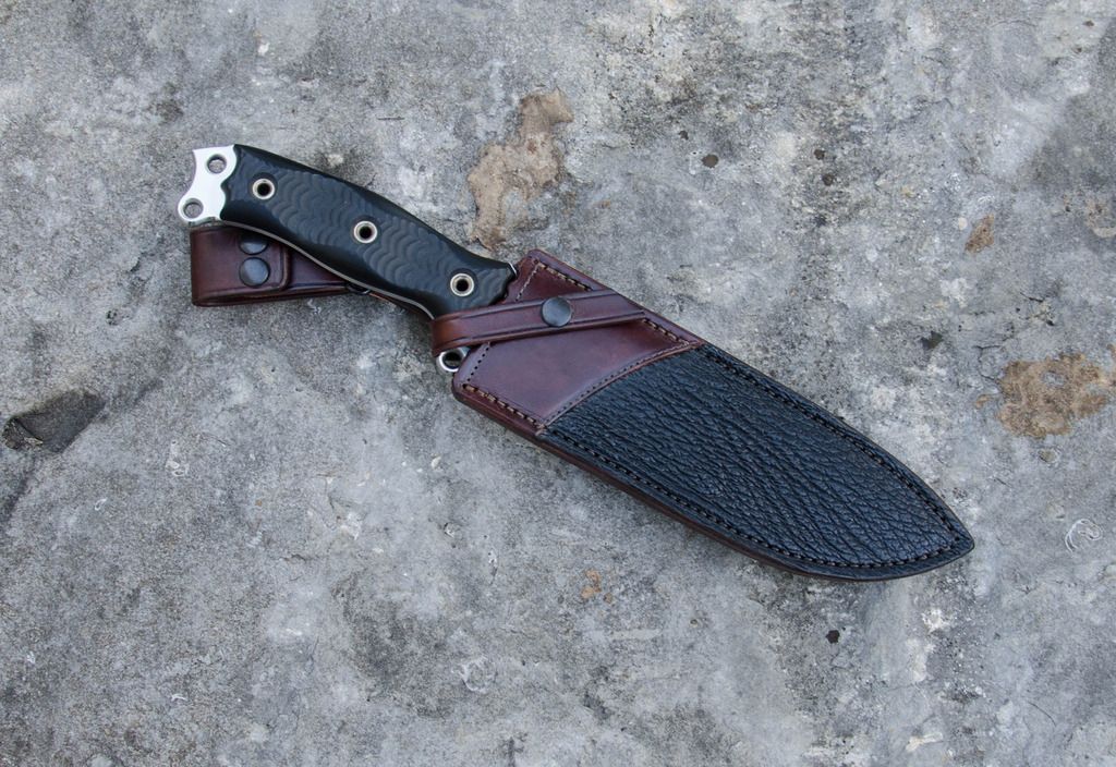 nmsfno%20shark%20front_zpstlbohmgz.jpg