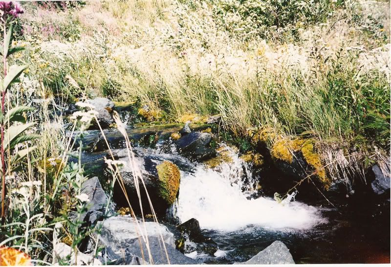 little-creek.jpg