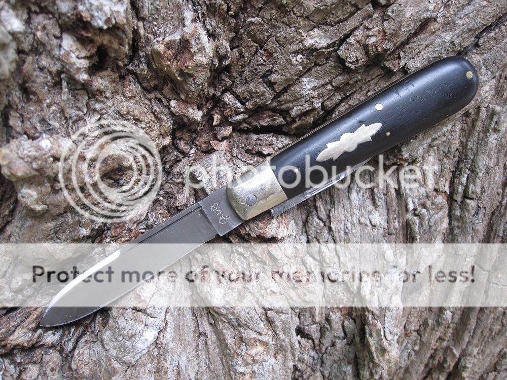 IMG_4096_zpsle7awbbe.jpg~original