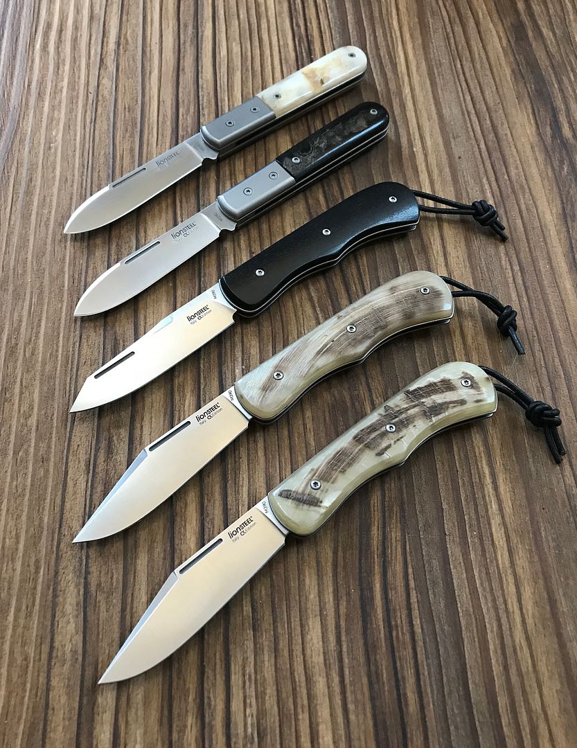 LionSteel%20family%2001.jpg