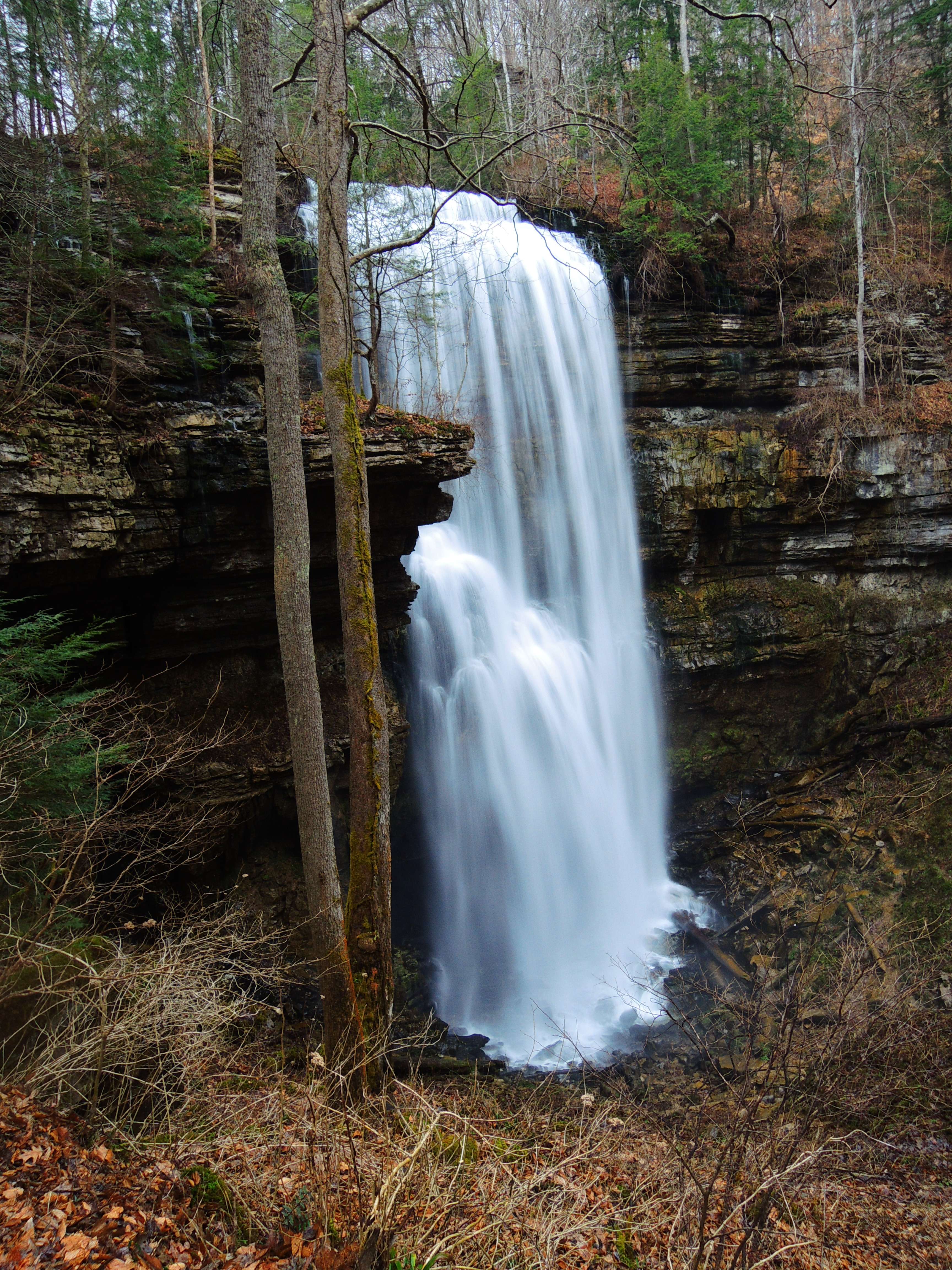 dscn7921qd.jpg