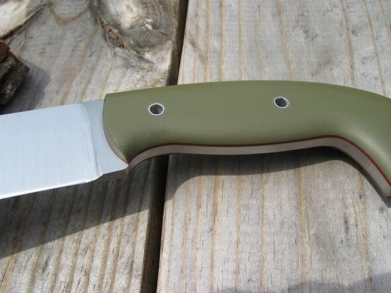 Siegle003.jpg