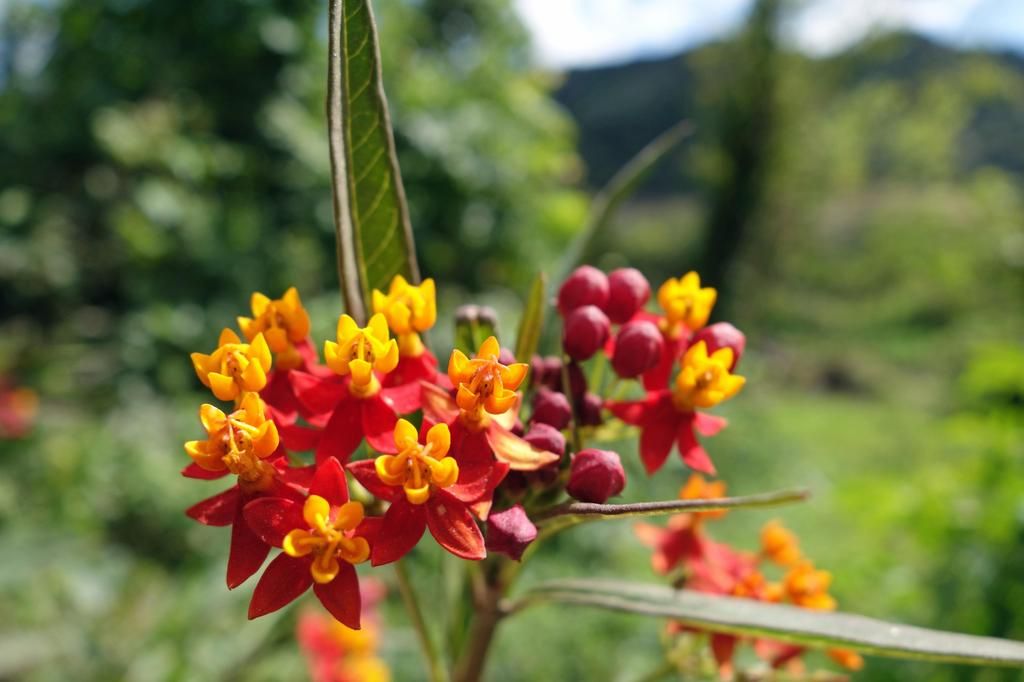 DSC01534%201_zpsmchbnvzb.jpg