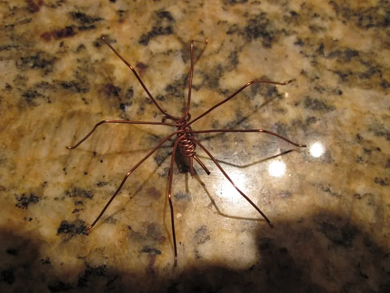 spider.jpg