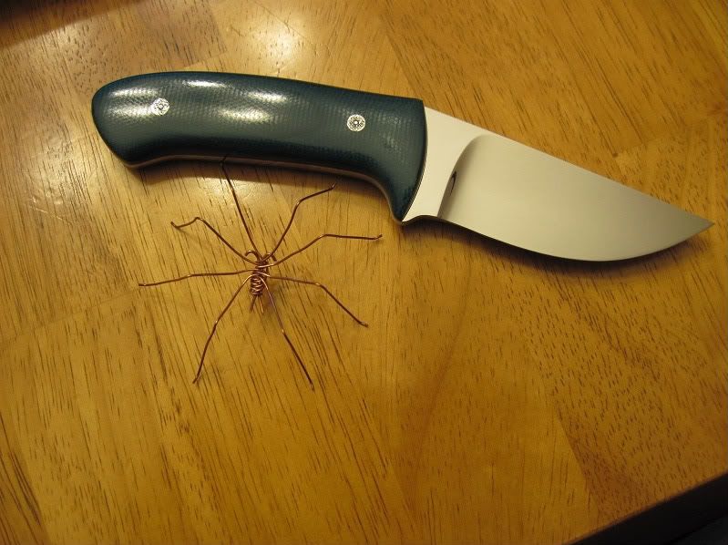 spider3.jpg