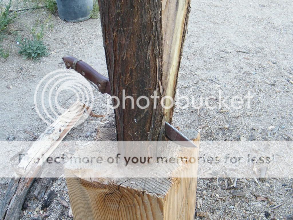 DSCF2840.jpg