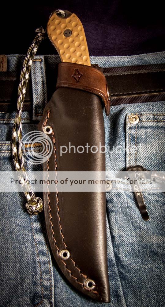 Guardian4_sheath.jpg~original