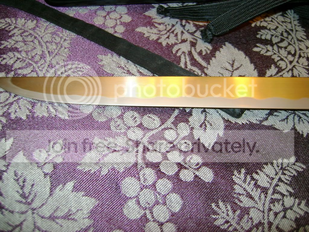 DSC04278.jpg
