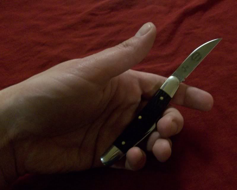 100_1583.jpg