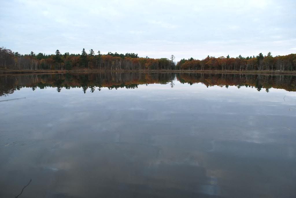 DSC_0123-1.jpg