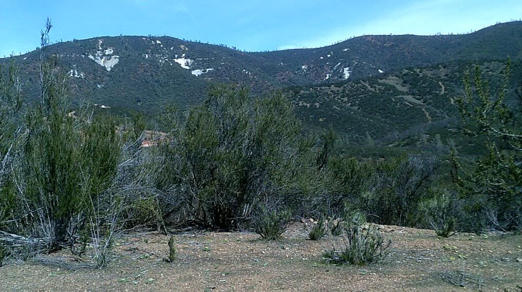 DSCF0005-3_zpsa15c0289.jpg