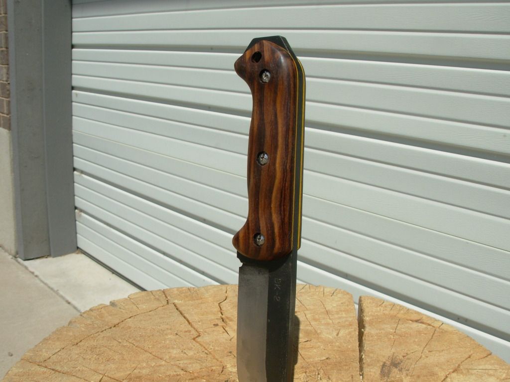 DSCN1650.jpg