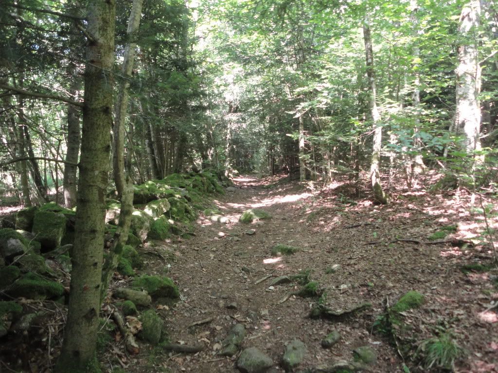 DSC01867.jpg