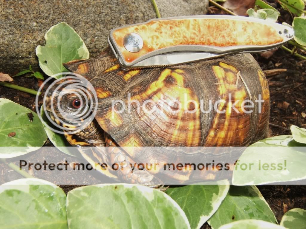 DSCF1224.jpg