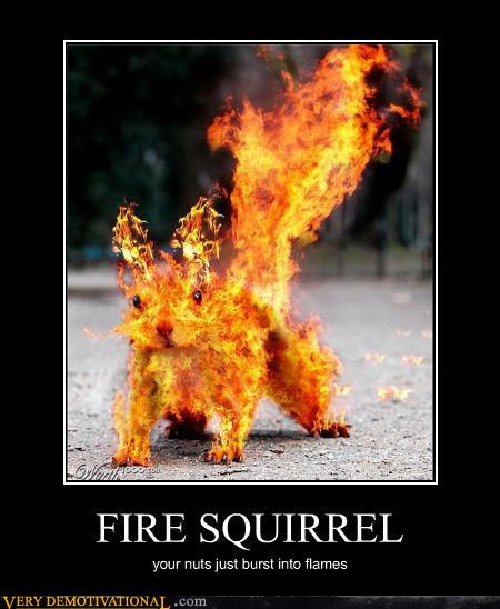 fire_squirrel.jpg