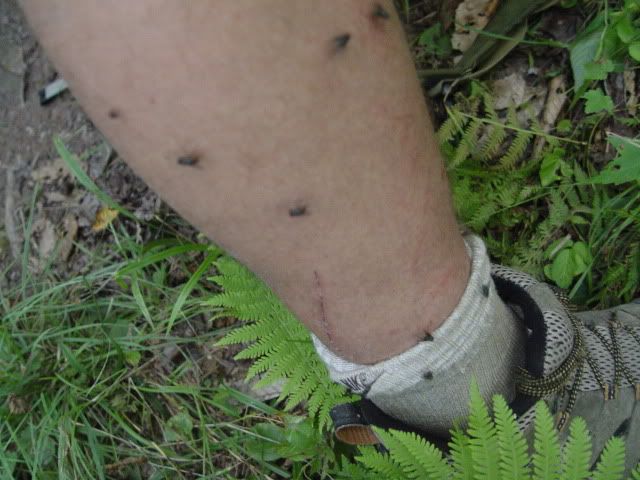 DSC02162.jpg