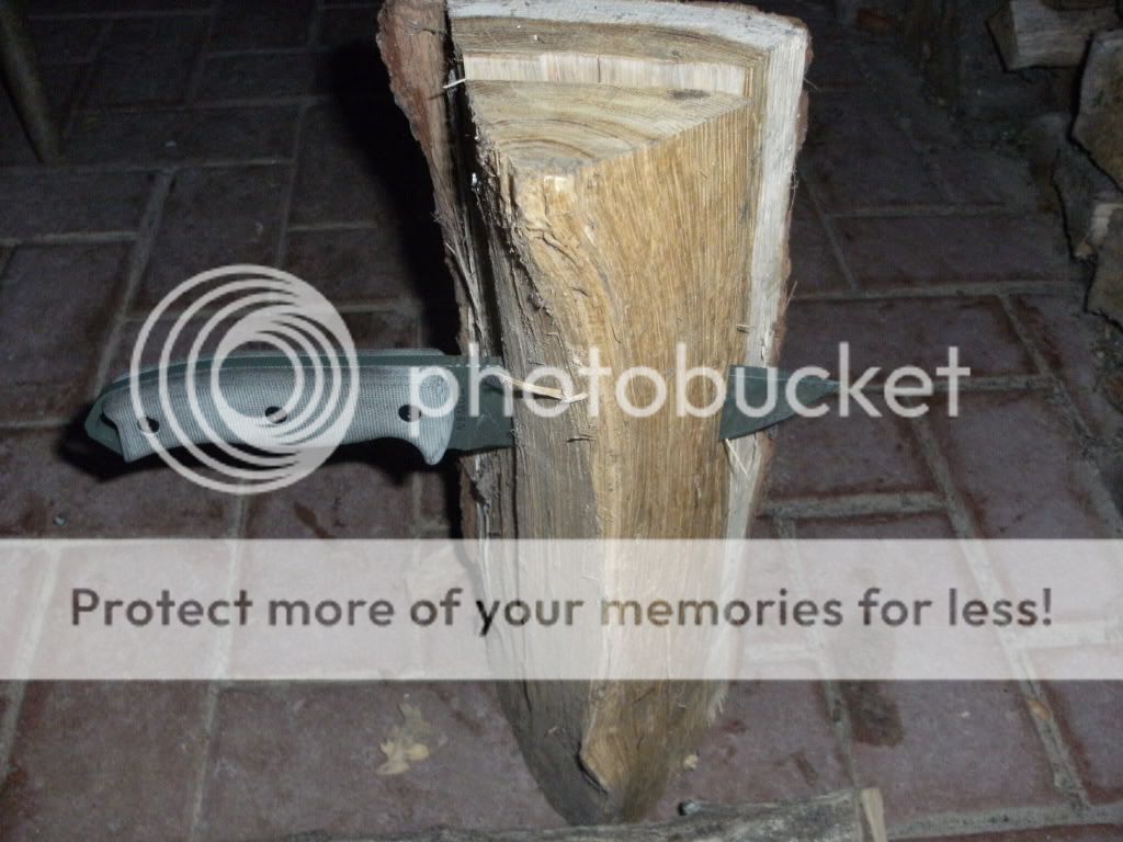 DSCF1215.jpg