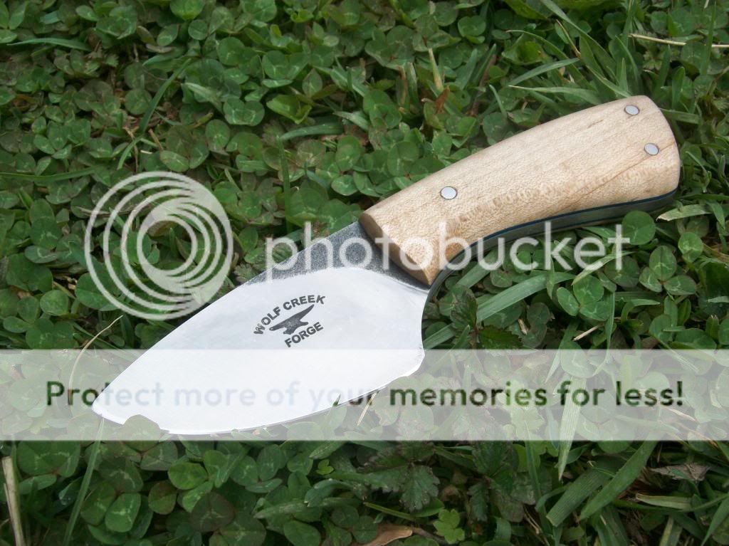 100_9389_zpsdebf7ac5.jpg