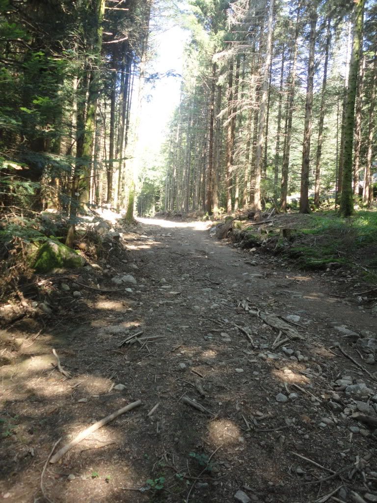 DSC01857.jpg