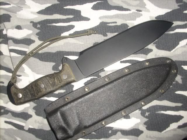 344ae1fa.jpg