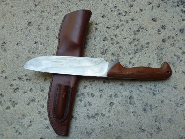 P1000251.jpg