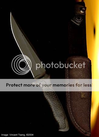 Buck_NtHwk_S.jpg