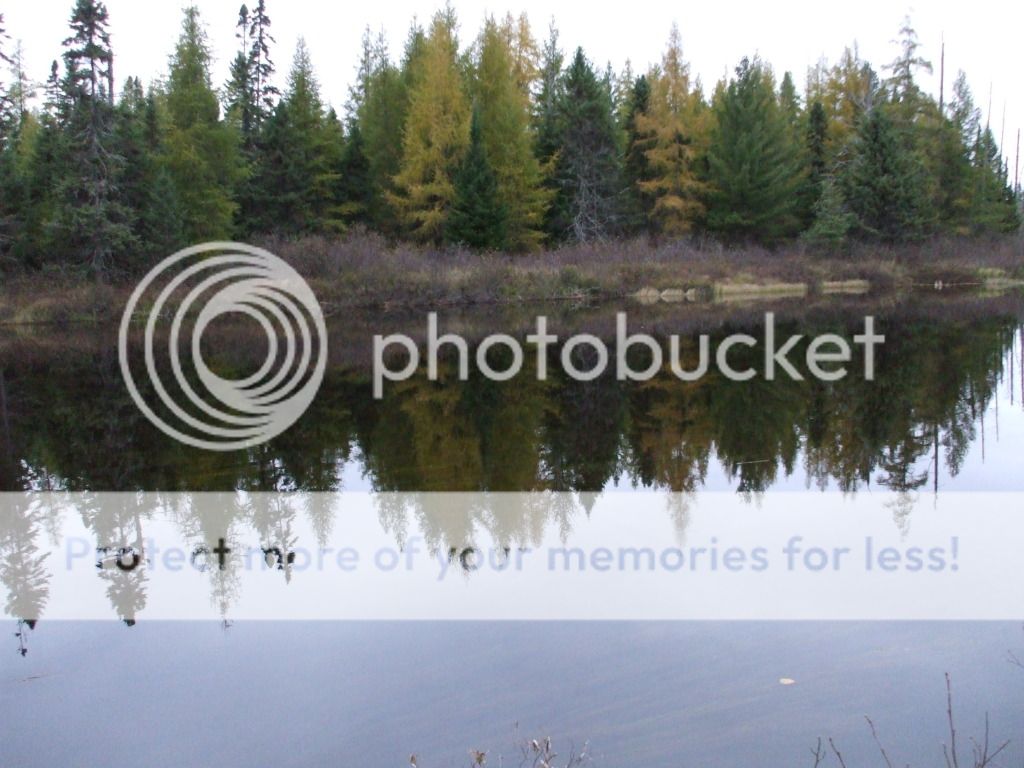 DSCF5802.jpg