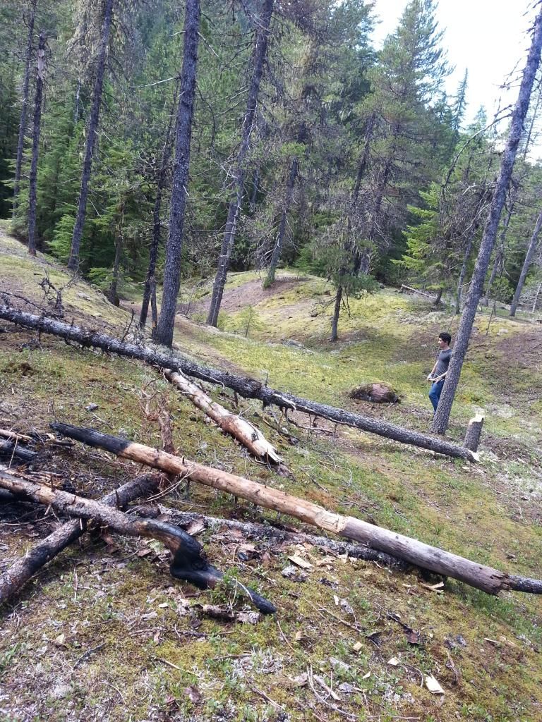 20130830_133536_zps21738e74.jpg