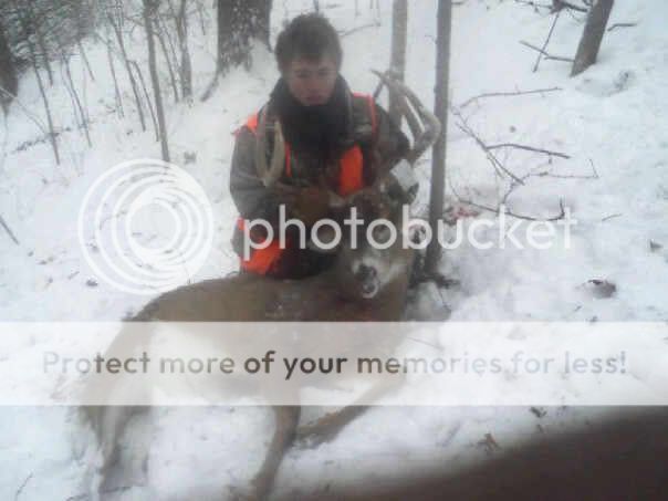 timberpcikin.jpg