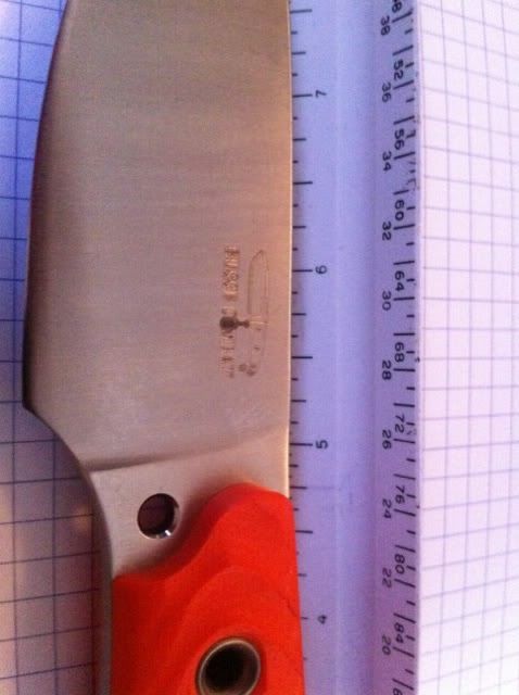 image-23.jpg