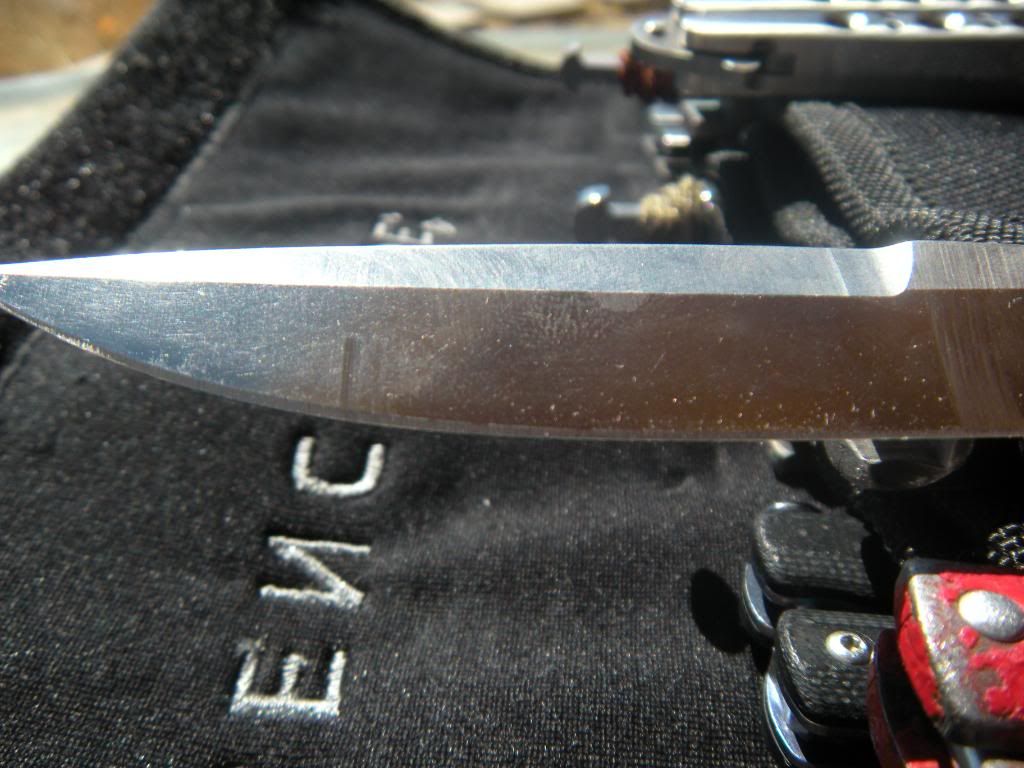 DSCN1960.jpg