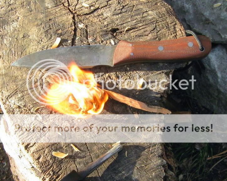 07c1f5d0.jpg