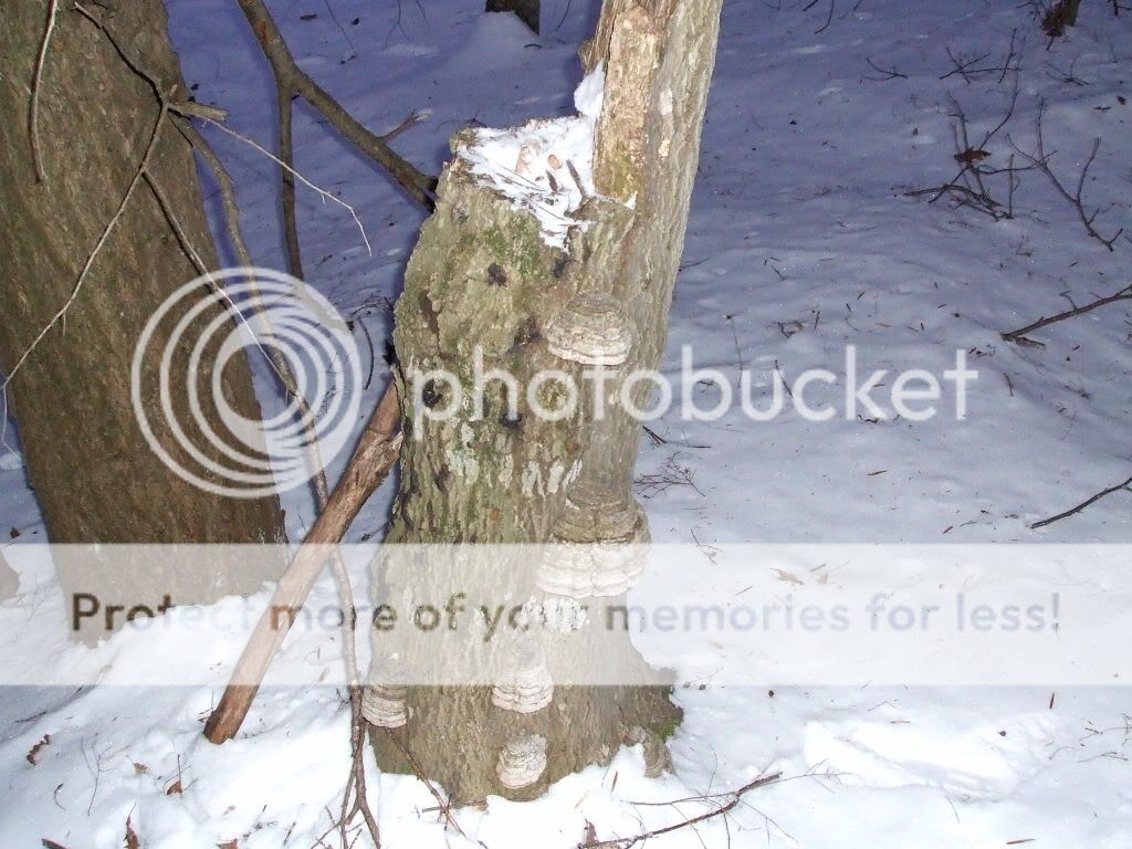 DSCF0838.jpg