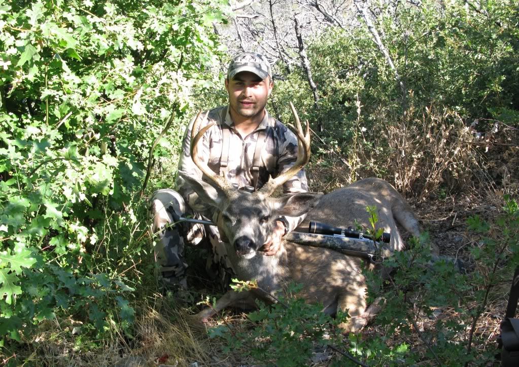4x3buck.jpg