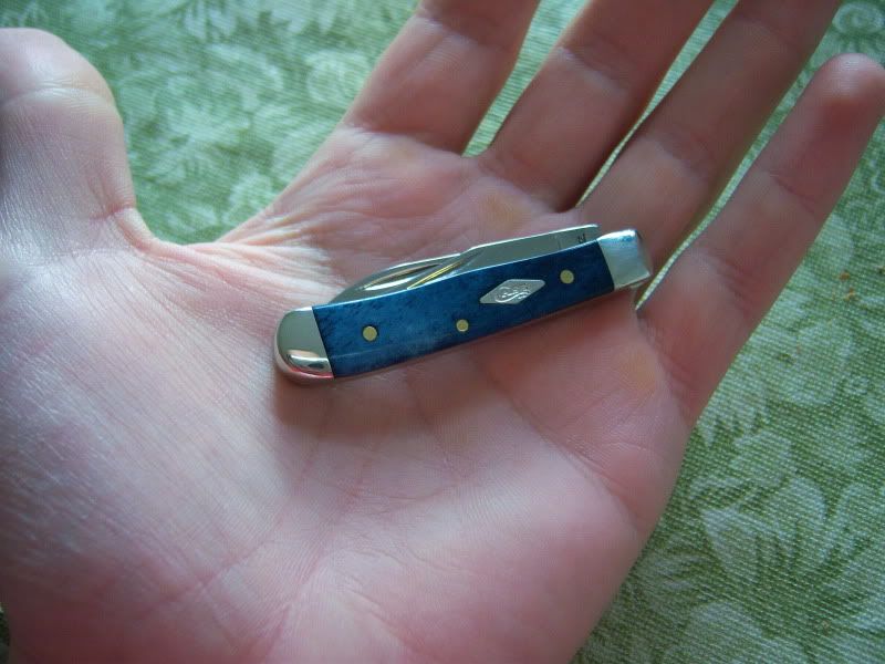 000_0113.jpg