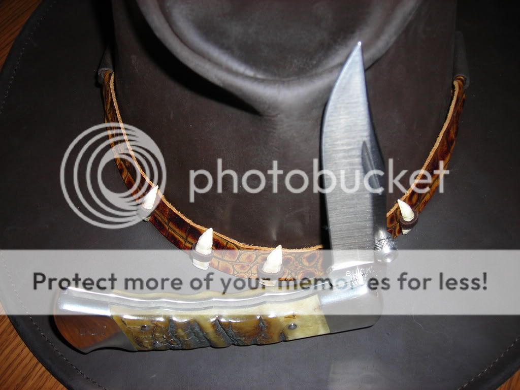DSCN1317.jpg