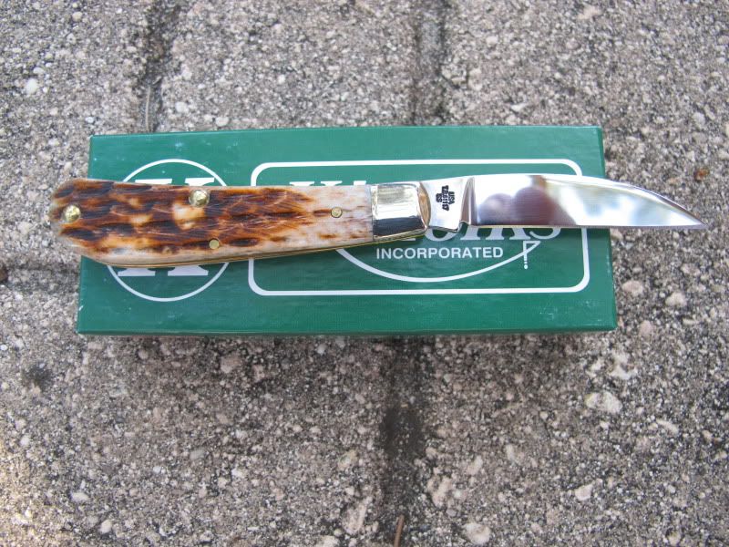 005-2.jpg