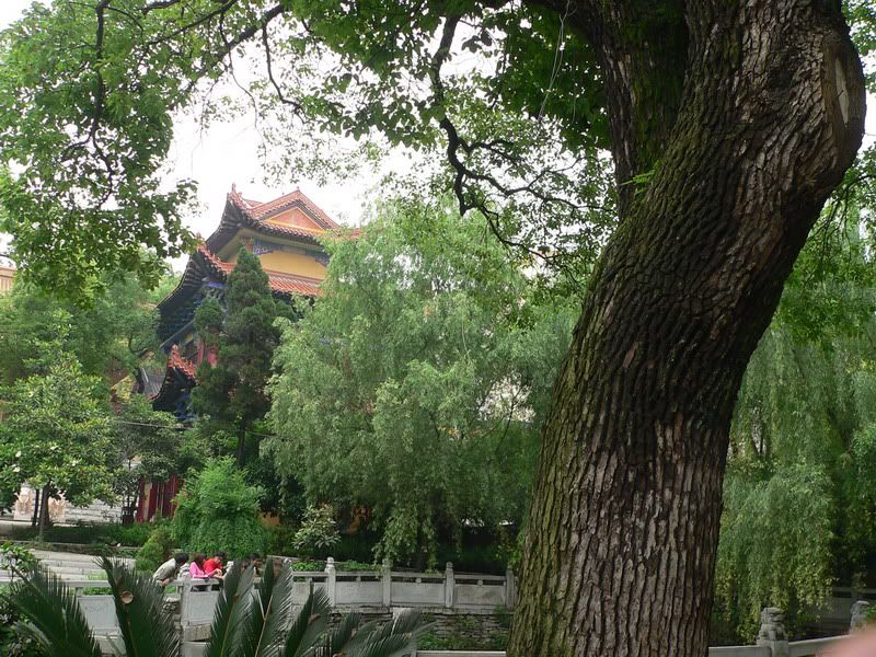 P1400549.jpg