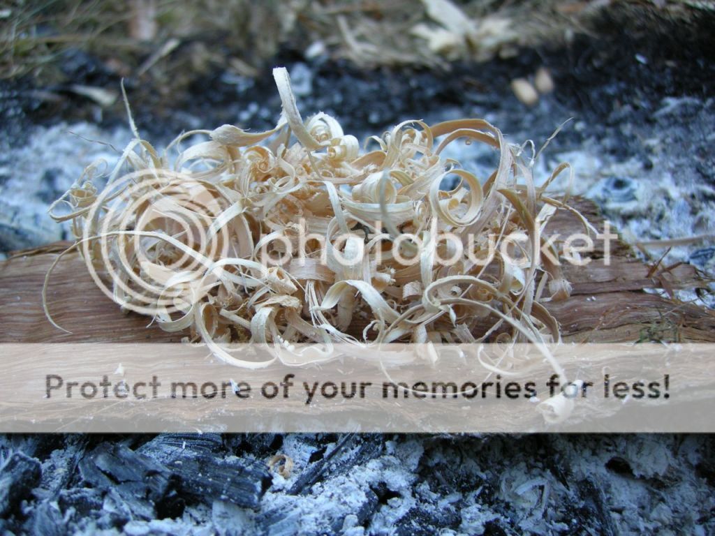 FireContest077.jpg