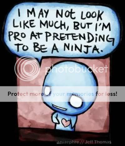 ninja.jpg