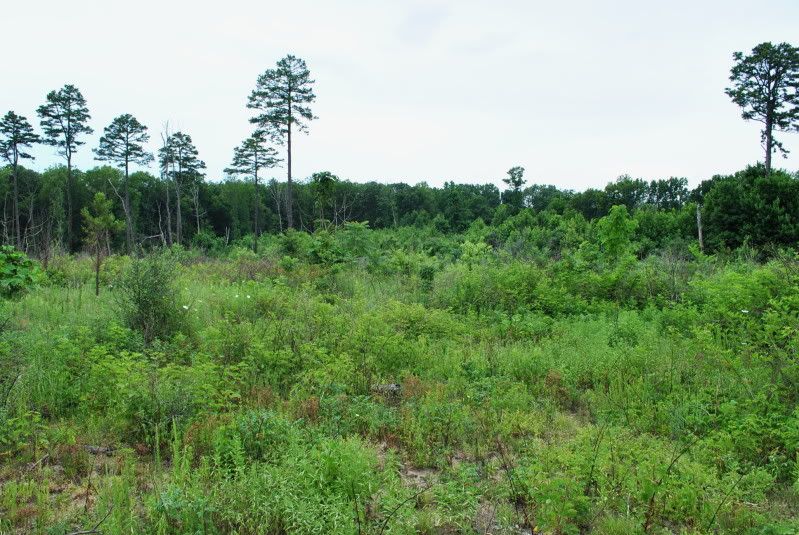 DSC_3186.jpg