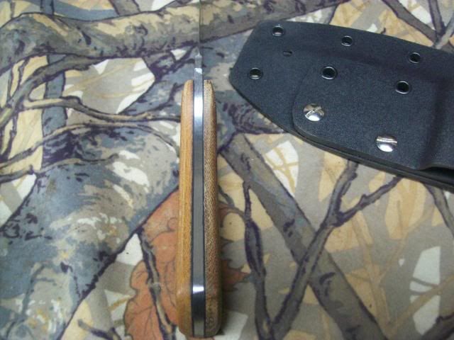 100_5648.jpg