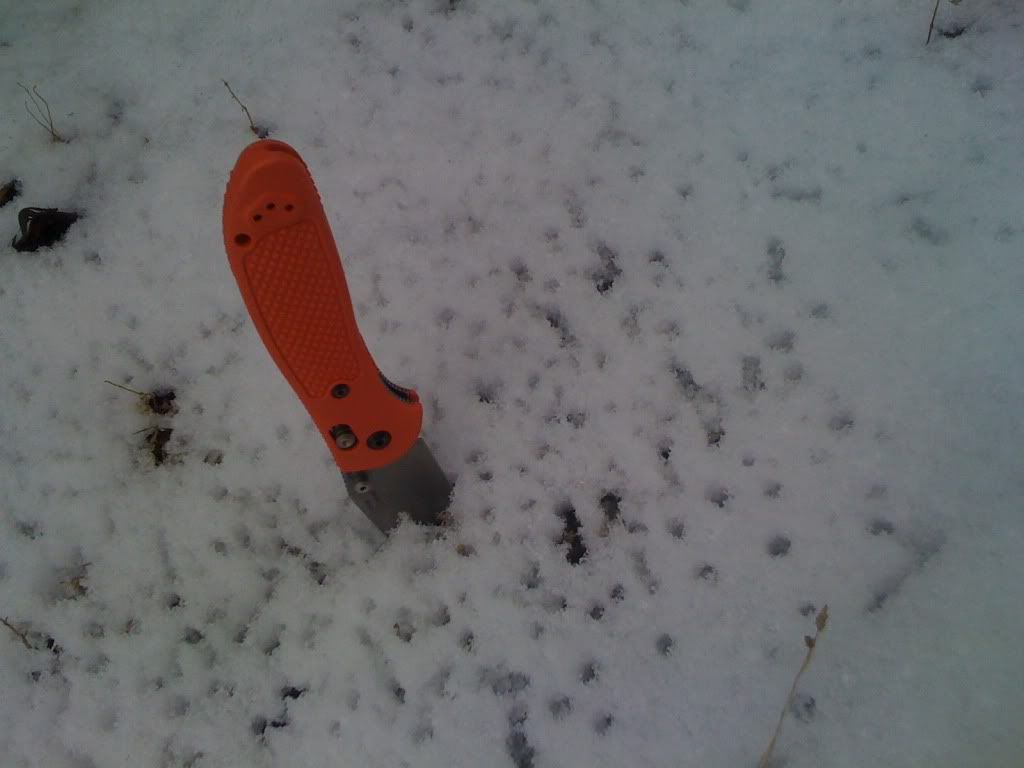 Picture143.jpg