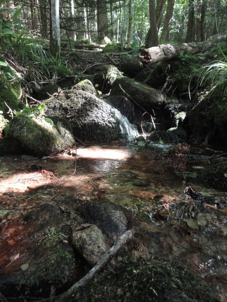 DSC01862.jpg