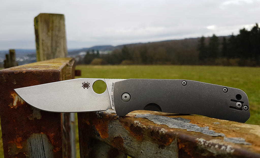 31581902od.jpg